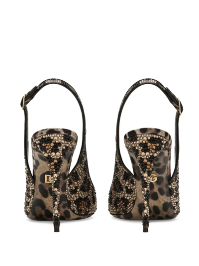Dolce & Gabbana Water Diamond Decorated With Satin Exposed Heels In Braun