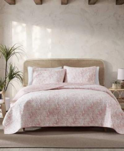 Shop Tommy Bahama Home Distressed Quilt Sets In Rose Coral