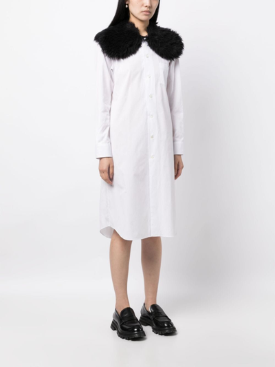 Shop Comme Des Garçons Fur-collar Midi Shirtdress In White