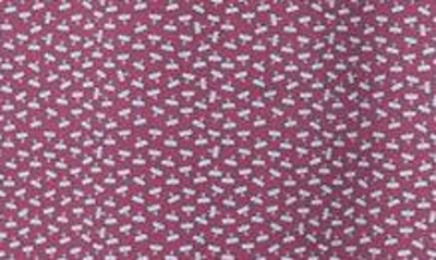 Shop Peter Millar Pilot Mill Dragonfly Print Pima Cotton Polo In Wild Berry