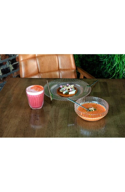 Fortessa Archie Set Of 4 Clear Dinner Plates In Clear