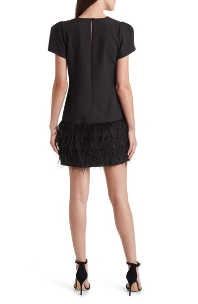 Sam edelman shop feather dress