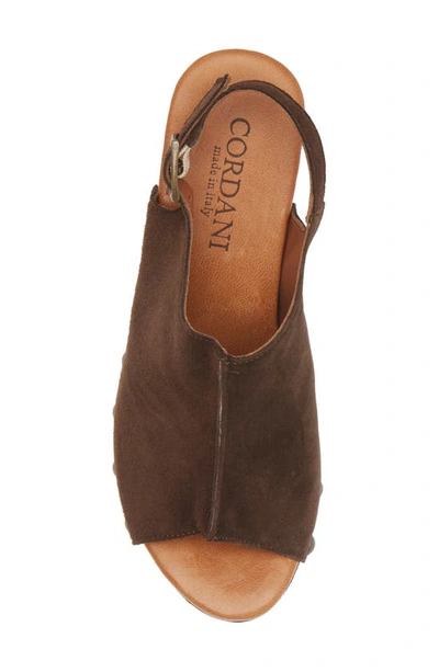 Cordani Winnie Slingback Sandal In Camoscio Cacao