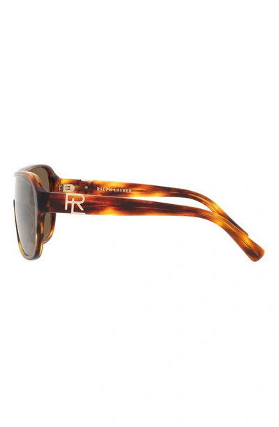 Shop Ralph Lauren Shield Sunglasses In Havana