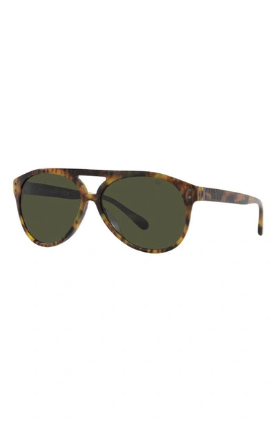 Shop Ralph Lauren 59mm Aviator Sunglasses In Green
