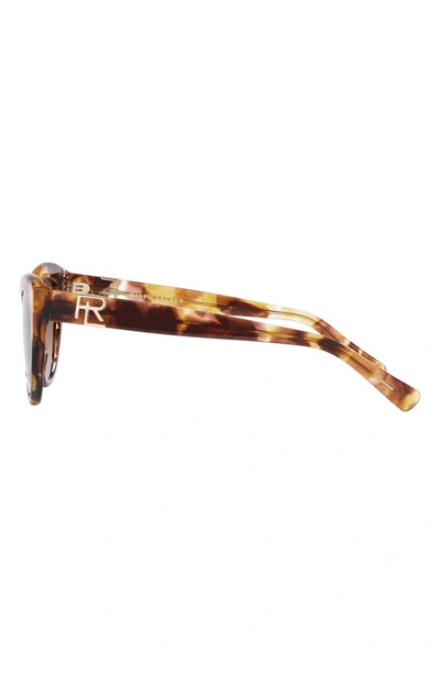 Shop Ralph Lauren 56mm Cat Eye Sunglasses In Havana