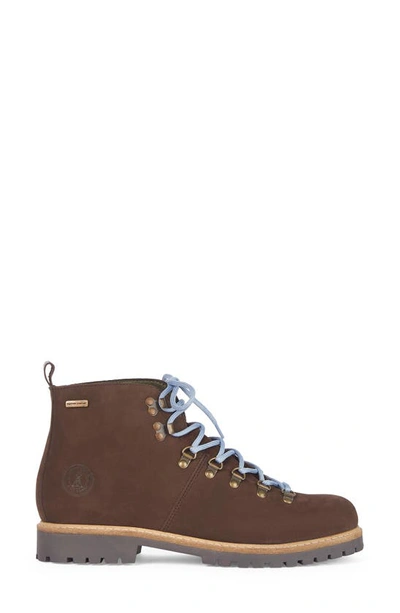 Shop Barbour Wainwright Hiking Boot In Choco