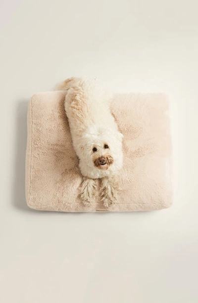 Shop Unhide Pillow Pad Pet Bed In Beige Bear