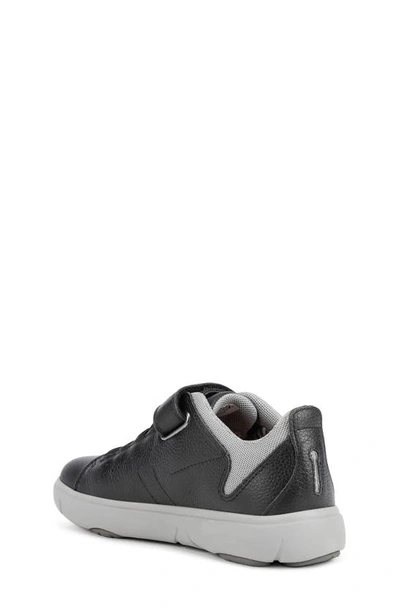 Shop Geox Kids' Neb Sneaker In Black/ Grey