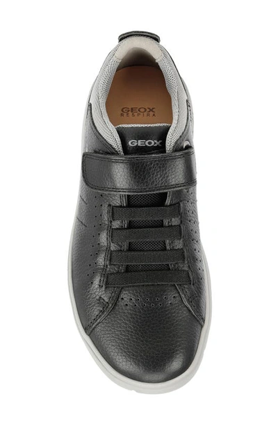 Shop Geox Kids' Neb Sneaker In Black/ Grey