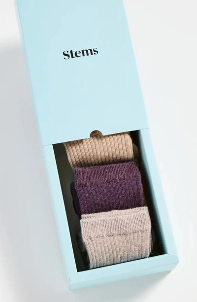 Shop Stems Assorted 3-pack Rib Socks In Heliotrope