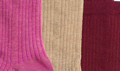 STEMS STEMS ASSORTED 3-PACK RIB SOCKS 