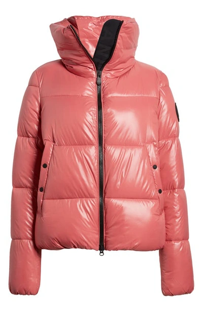 Save The Duck Isla Insulated Windproof & Water Repellent Puffer Jacket In Bloom Pink