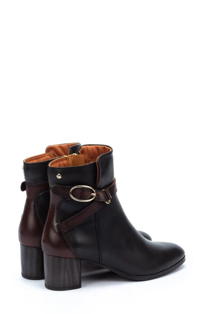 Pikolinos Calafat Buckle Bootie In Black Lt