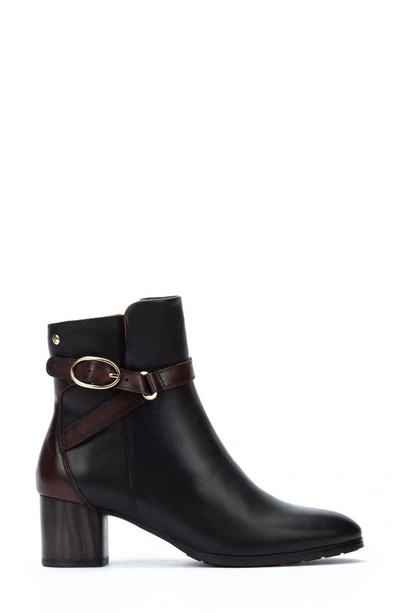 Pikolinos Calafat Buckle Bootie In Black Lt