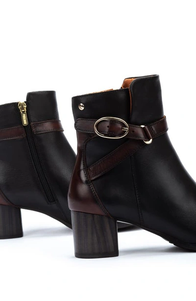 Pikolinos Calafat Buckle Bootie In Black Lt