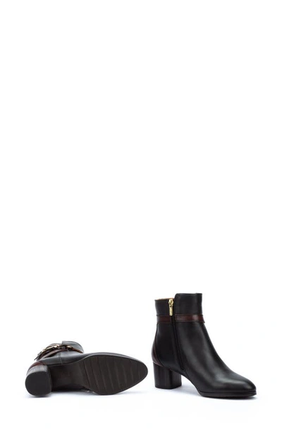 Pikolinos Calafat Buckle Bootie In Black Lt