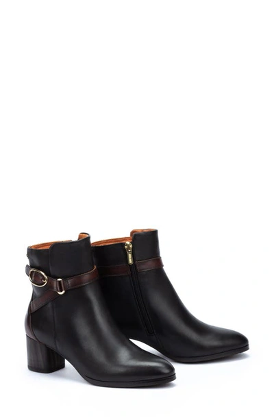 Pikolinos Calafat Buckle Bootie In Black Lt