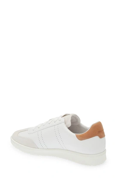 Frankie4 Drew Sneaker In White Nutmeg