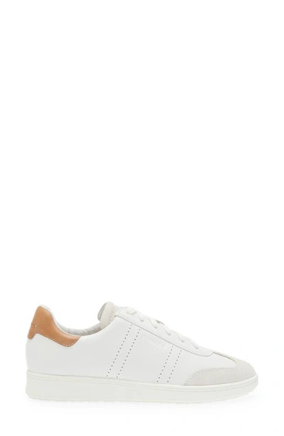 Frankie4 Drew Sneaker In White Nutmeg