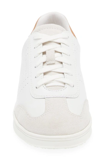 Frankie4 Drew Sneaker In White Nutmeg