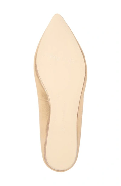 Shop Frankie4 Poppy Pointed Toe Flat In Gold Starry