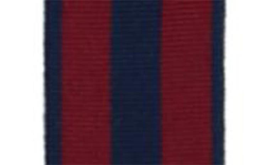 Shop Trafalgar Balint Stripe Grosgrain Suspenders In Burgundy And Navy