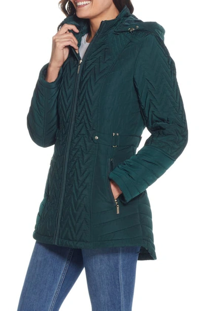 Shop Gallery Hooded Quilted Jacket In Dark Hunter