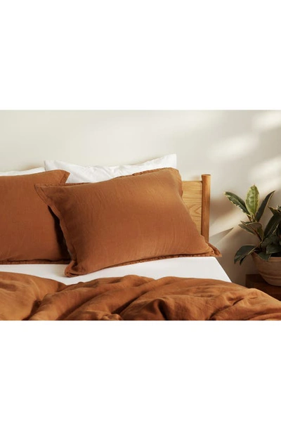 Parachute Set Of 2 Linen Shams In Terra