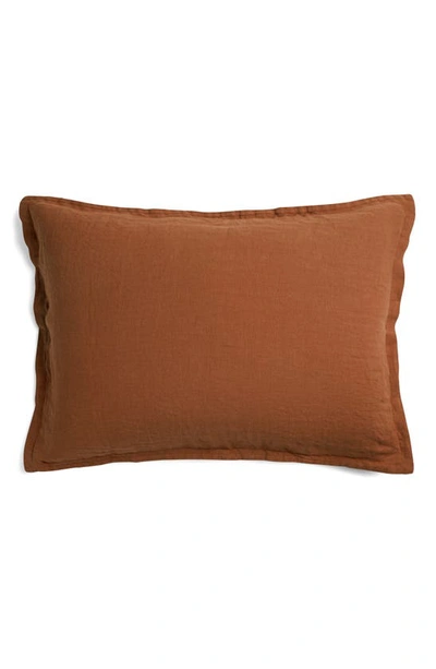 Parachute Set Of 2 Linen Shams In Terra