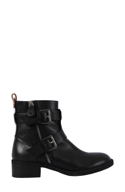Gentle Souls By Kenneth Cole Brena Moto Boot In Black Leather