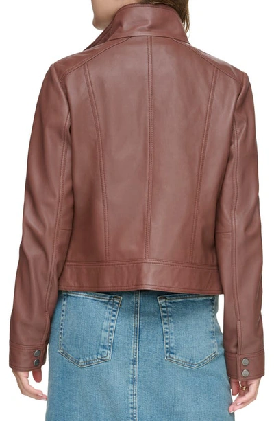 Shop Andrew Marc Leather Moto Jacket In Fig