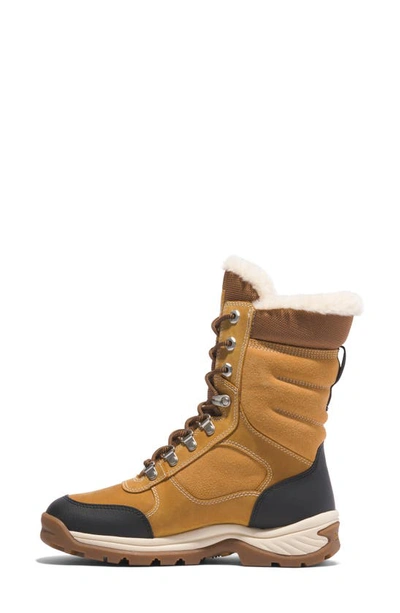 Shop Timberland White Ledge Faux Shearling Insulated Waterproof Hiking Boot In Wheat Full Grain