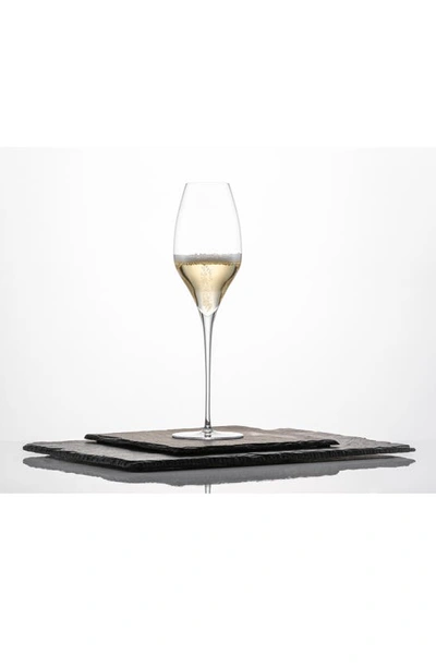 Shop Schott Zwiesel Alloro Set Of 2 Sparkling Wine Glasses In Clear