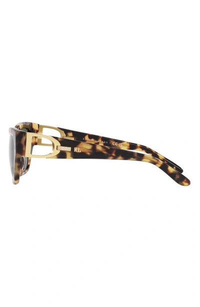 Shop Ralph Lauren 57mm Cat Eye Sunglasses In Havana