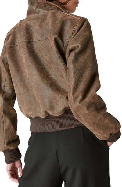 Shop Lucky Brand Distressed Leather Bomber Jacket In Brown