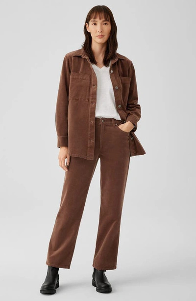 Eileen Fisher High Waist Ankle Straight Leg Corduroy Pants In Auburn
