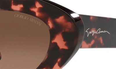 Shop Armani Exchange 50mm Gradient Small Cat Eye Sunglasses In Havana Pink