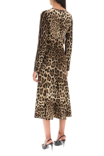 Shop Dolce & Gabbana Midi Dress In Leopard Cady
