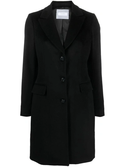 Shop Barba Coats In Black