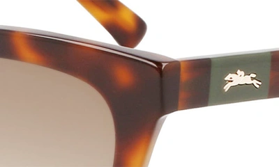 Shop Longchamp Le Pliage 54mm Modified Rectangular Sunglasses In Havana