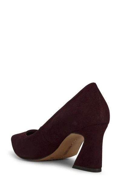 Shop Vince Camuto Hailenda Pointed Toe Pump In Petit Sirah