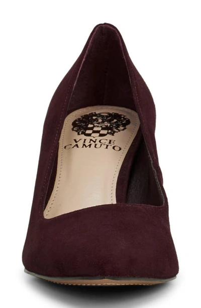 Shop Vince Camuto Hailenda Pointed Toe Pump In Petit Sirah