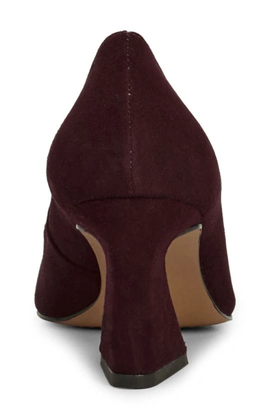 Shop Vince Camuto Hailenda Pointed Toe Pump In Petit Sirah