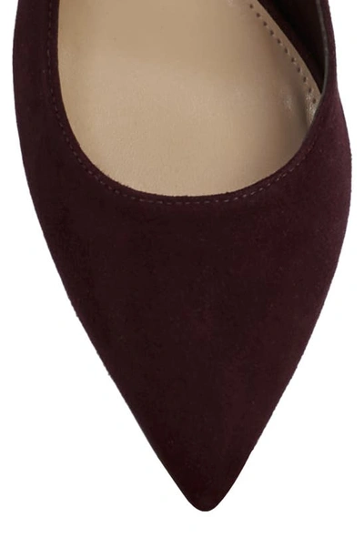 Vince Camuto Hailenda Pointed Toe Pump In Petit Sirah