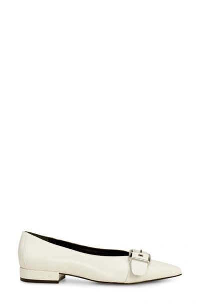 Shop Vince Camuto Megdele Pointed Toe Flat In Creamy White