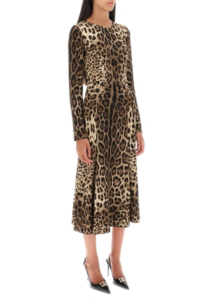 Shop Dolce & Gabbana Midi Dress In Leopard Cady In Multicolor