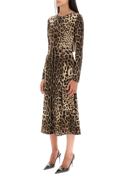 Shop Dolce & Gabbana Midi Dress In Leopard Cady In Multicolor