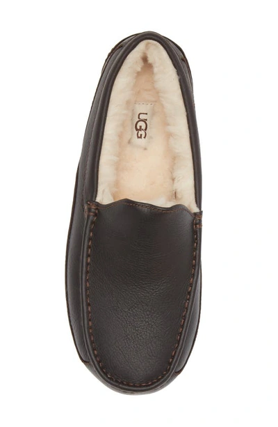 Shop Ugg (r) Ascot Leather Slipper In Dark Spice