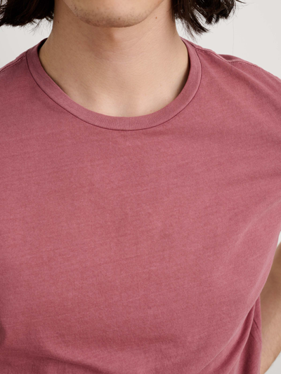 Shop Alex Mill Lightweight Mercer Tee In Currant